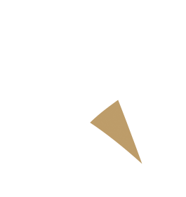 logo_jan_vis